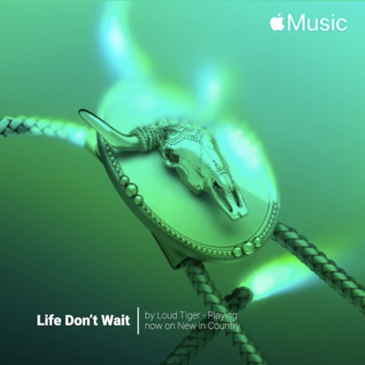 Loud Tiger - Life Don't Wait